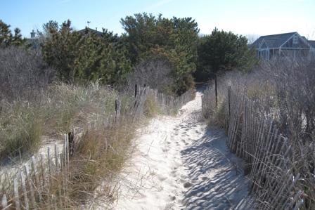 Cape May Point beach 
trail